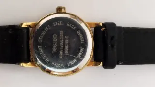 Reloj Casio Marrón y Dorado