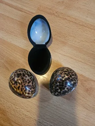 Cajitas Joyero Concha