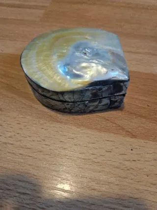 Cajitas Joyero Concha