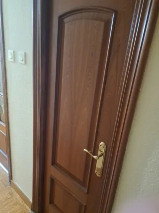 Lote 7 puertas sapelly