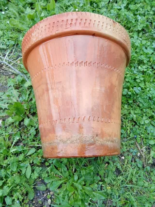 Antigua maceta de terracota