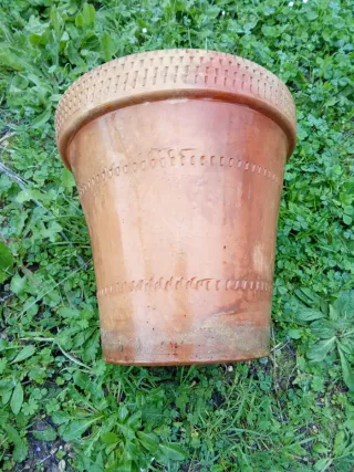 Antigua maceta de terracota