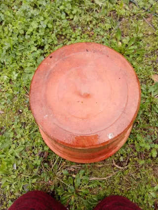 Antigua maceta de terracota