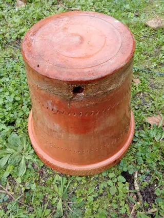 Antigua maceta de terracota