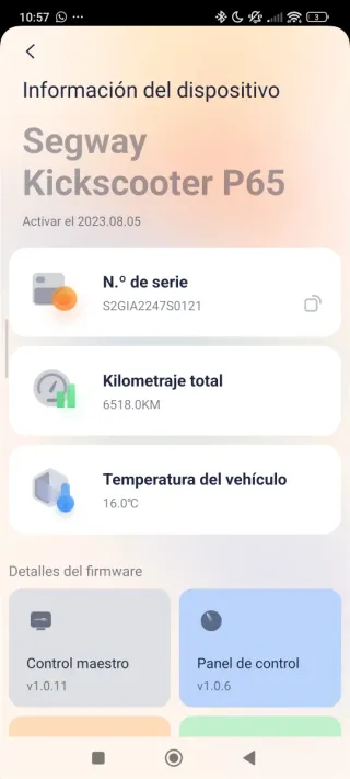 Segway P65 Patinete Eléctrico