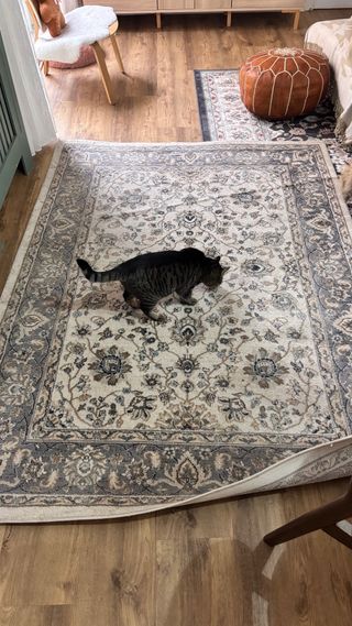 Alfombra beige y gris