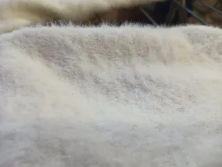 Jersey blanco mujer con corazones