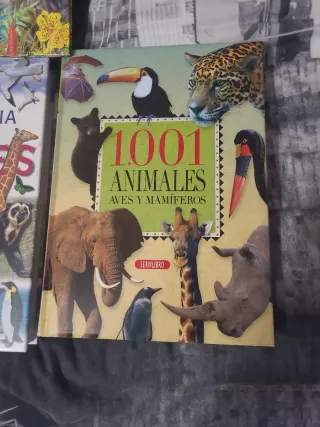 Libros infantiles animales