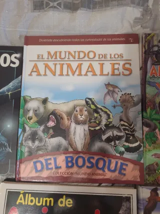 Libros infantiles animales