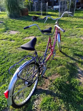 Lote 3 Bicicletas