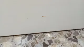 Espejo Pared Blanco Dos Posiciones