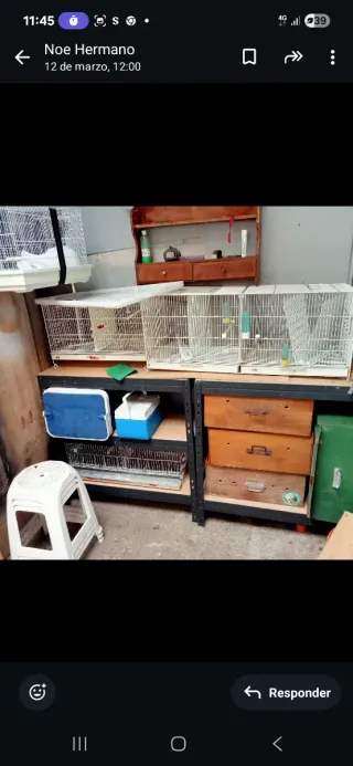 Set di 3 gabbie per uccelli con divisori