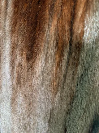 Abrigo de piel marrón