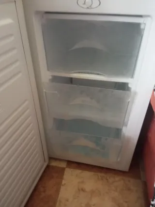 Congelador vertical Benavent