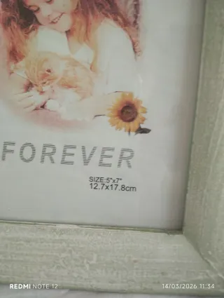 Marco de fotos vintage verde