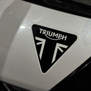 TRIUMPH TIGER 900 GT Pro