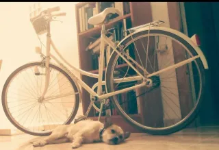 Bicicleta Clásica Rabasa