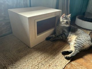 Caseta para gatos de madera