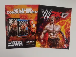 WWE 2K17 PS4 completo como nuevo