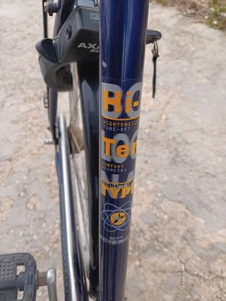 Bicicleta Holandesa Batavus Hombre