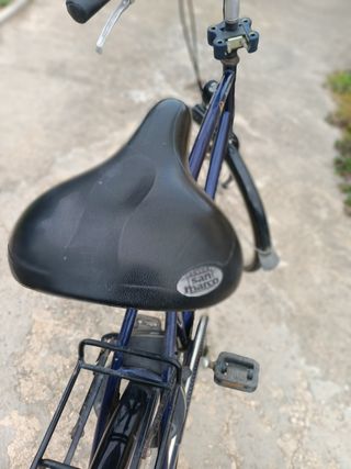 Bicicleta Holandesa Batavus Hombre