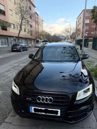 Audi SQ5 2016