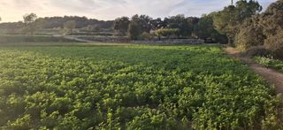 TORRE CON PISCINA Y TERRENO EN CUBELLS