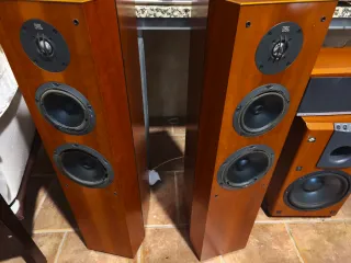 Altavoces Columna JBL XTI 60 Marrones