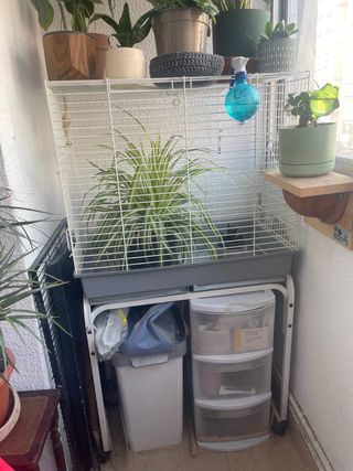 Jaula para pájaros ninfas, agapornis