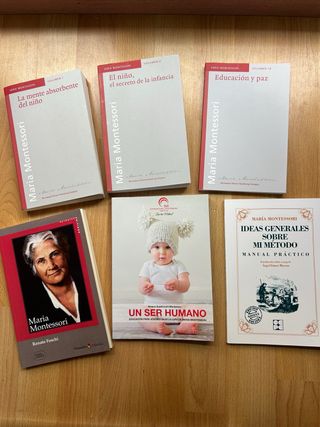 Lote Montessori La mente absorbente del niño yotro