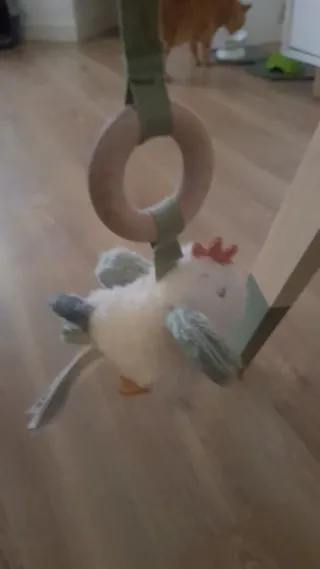 Baby Gym Little Dutch