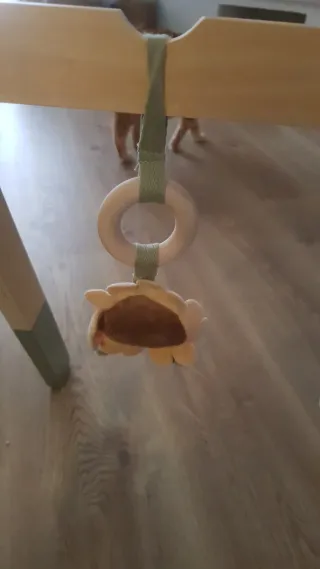 Baby Gym Little Dutch