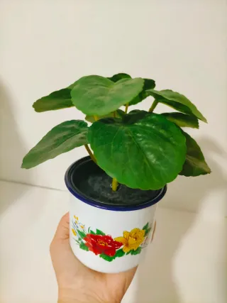 Taza Decorativa Floral