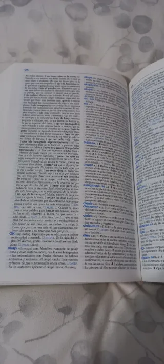 Diccionario Secundaria y Bachillerato: Lengua E...