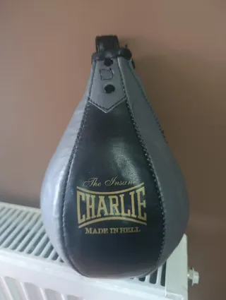 Saco de Boxeo Velocidad Everlast