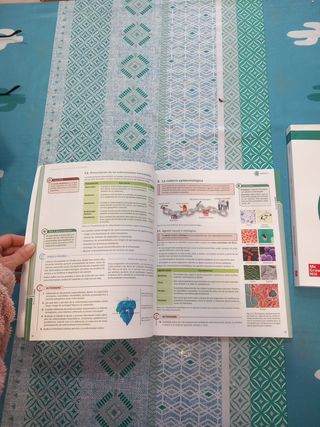 Higiene en el medio hospitalario