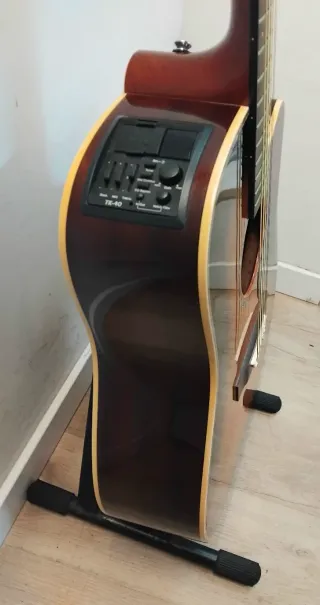 Takamine Electroacústica