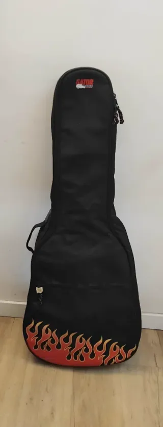 Takamine Electroacústica