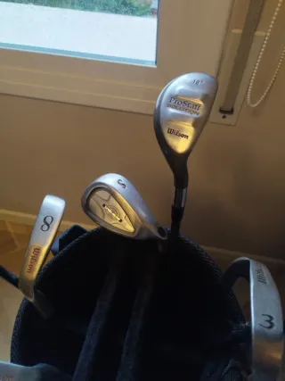 10 palos golf Wilson Prostaff + carro Callaway