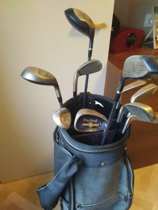 10 palos golf Wilson Prostaff + carro Callaway