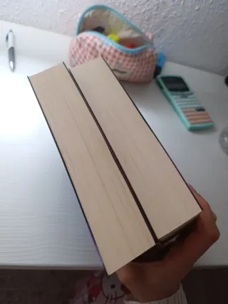 Saga los chicos de tommen tomo 1 y 2