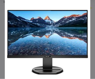 Monitor Philips Negro 24”