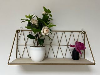 Estantería Metálica y Madera Dorada