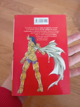 Saint Seiya - The lost canvas 10: Hades mytholo...