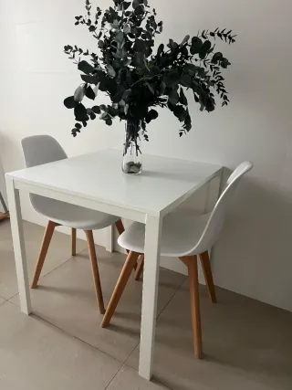 Mesa y 2 Sillas