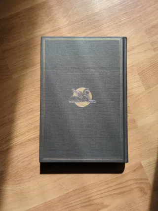 El gato negro Y otros cuentos de imaginación y ...