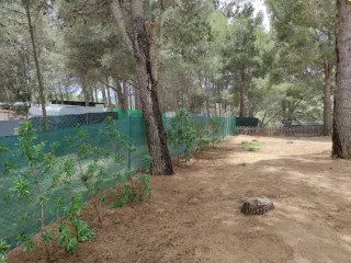 Alquiló Parcela de 750 mts