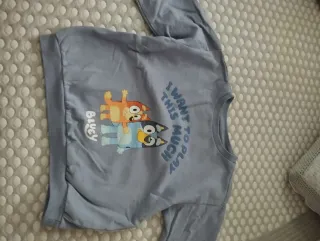 Lote 6 sudaderas niño 3-4 años