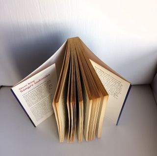 Sangre Indómita, Susan King (Spanish Edition)