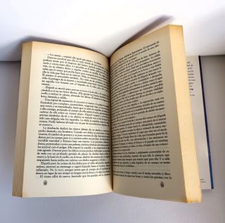 Sangre Indómita, Susan King (Spanish Edition)